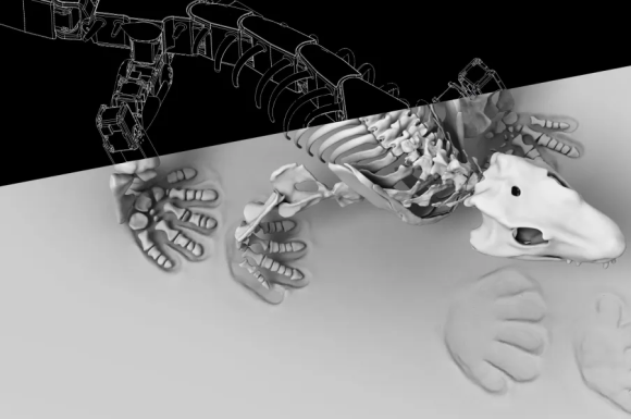 The Download: regulators are coming for AI companions, and meet our Innovator of 2025