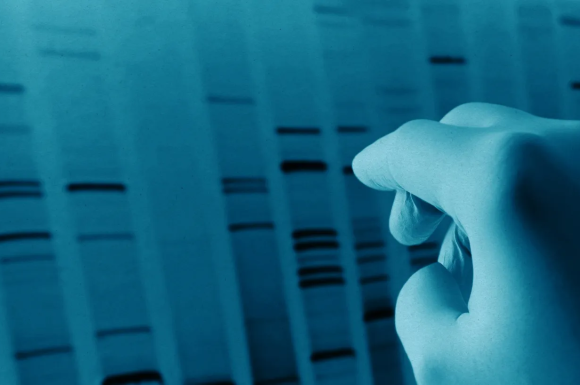 The Download: aging clocks, and repairing the internet