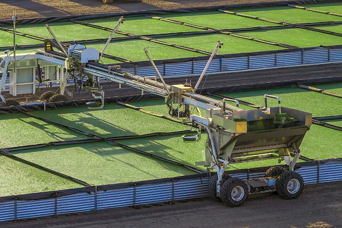 Stand Up for Research, Innovation, and Education