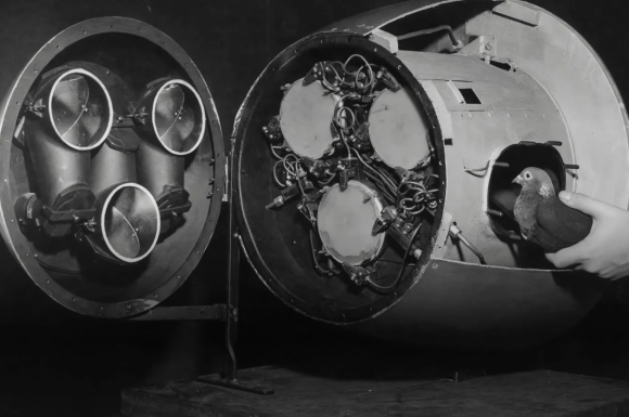 The Download: the fossil fuel elephant in the room, and better tests for endometriosis