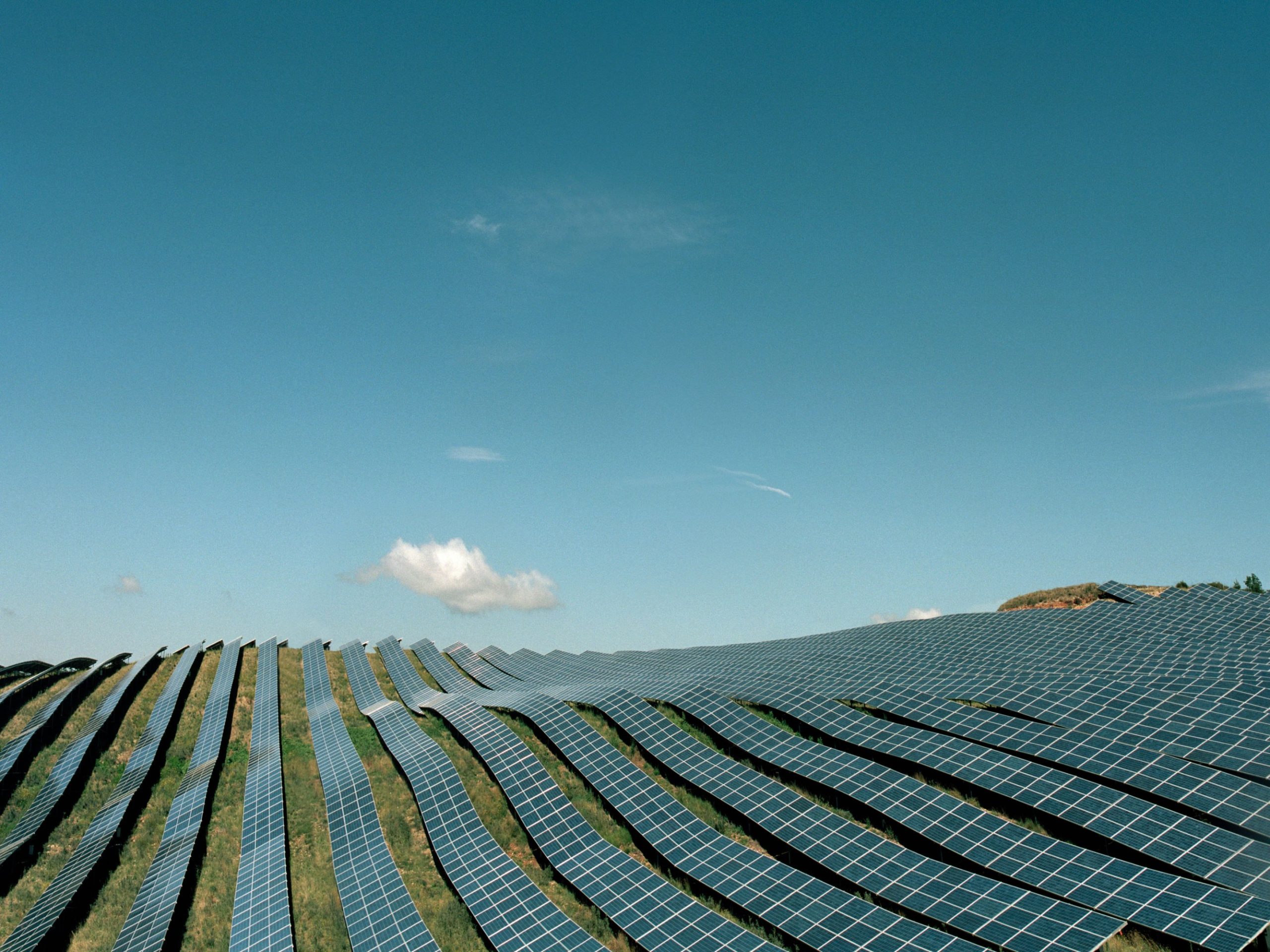 Four bright spots in climate news in 2025