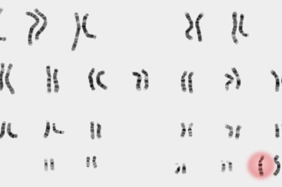 The Download: political chatbot persuasion, and gene editing adverts