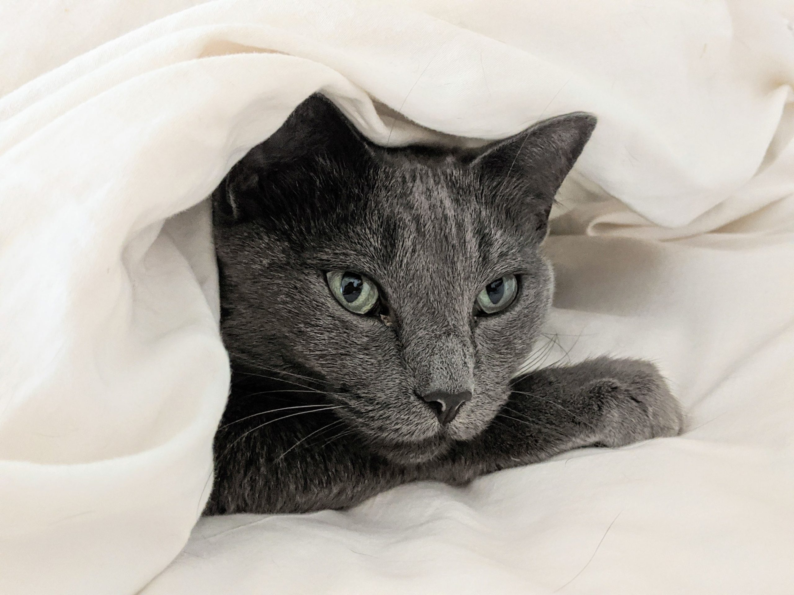 Using big data for good