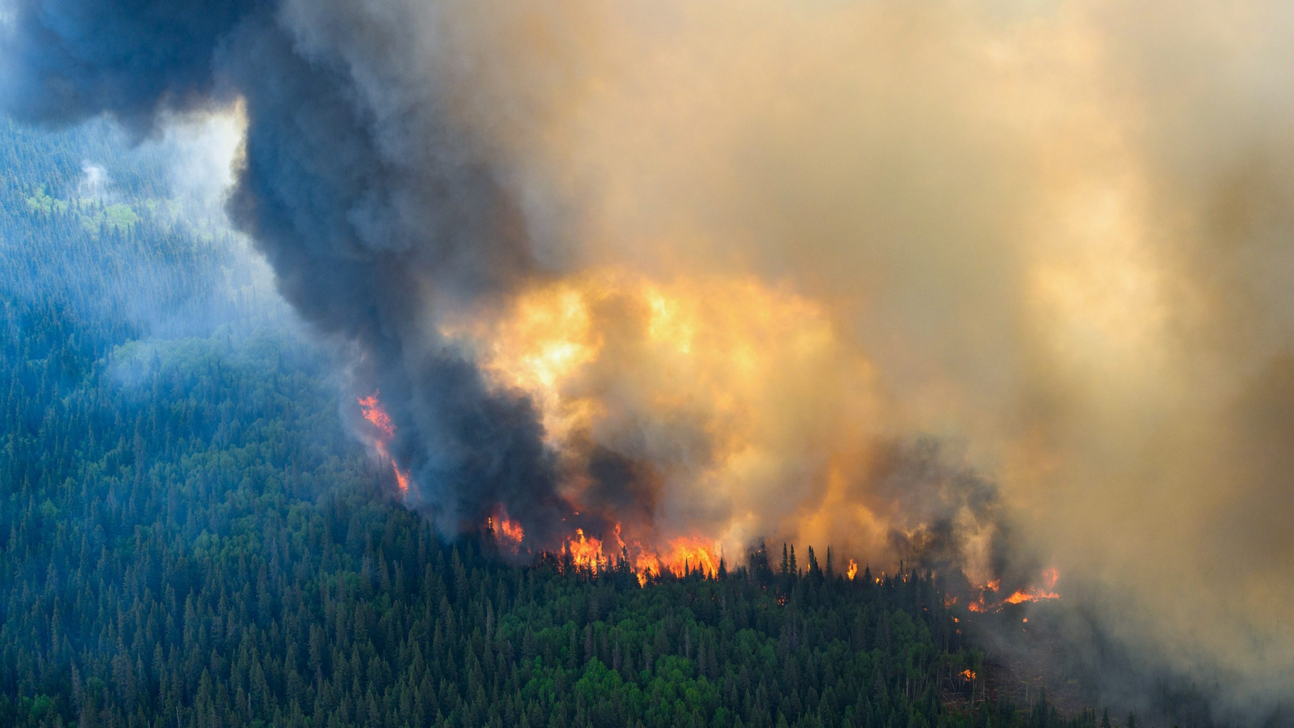 This startup claims it can stop lightning and prevent catastrophic wildfires
