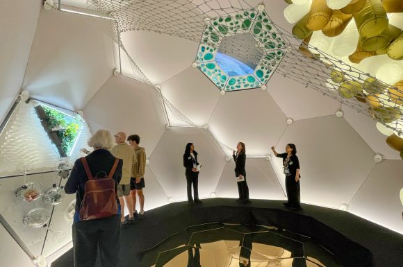 The Download: the internet’s best weather app, and why people freeze their brains